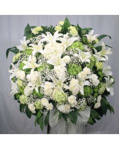 A0035