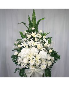A0040