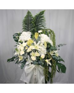 A0042
