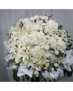 A0052