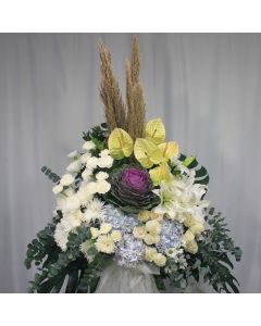 A0053