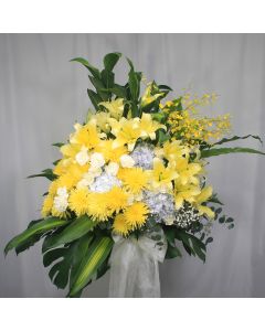 A0054