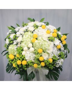 A0055