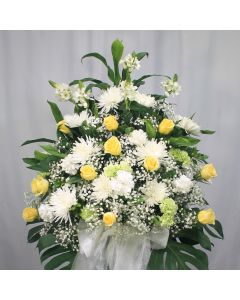 A0056