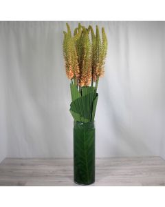 A0160