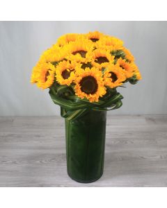 A0169