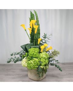 A0199