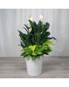 A0222