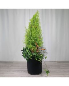 A0240