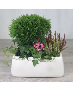A0255