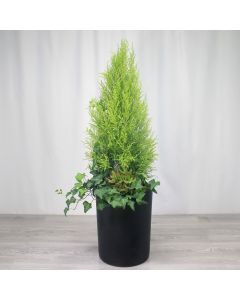 A0265