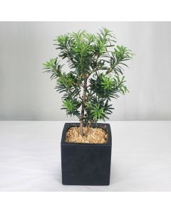 A0270