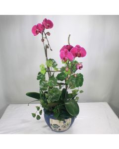 A0307