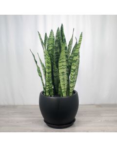 A0352