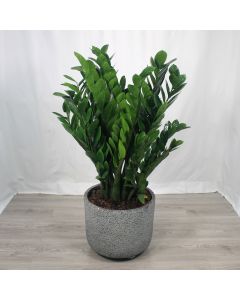 A0353