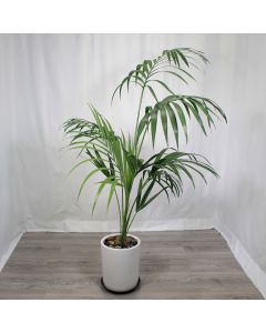 A0354