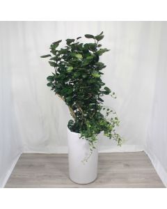A0360