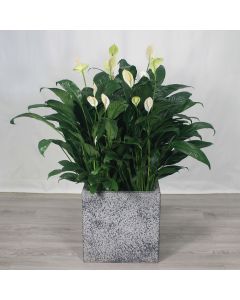 A0367