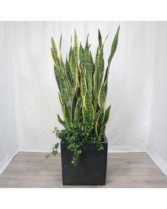 A0368