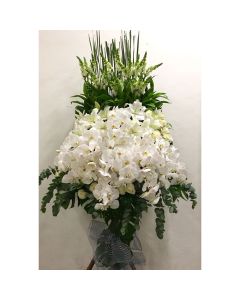 A0504