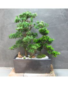 A0521
