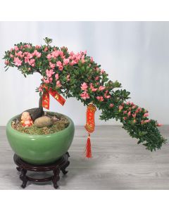 A0607