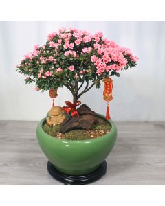 A0608