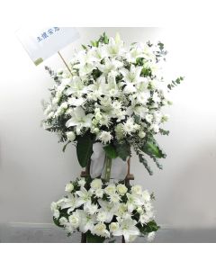 A0668