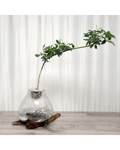 A0981