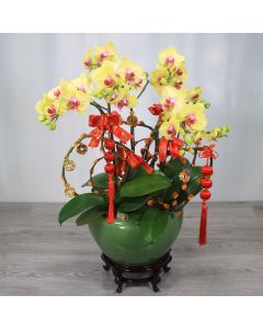 H0031